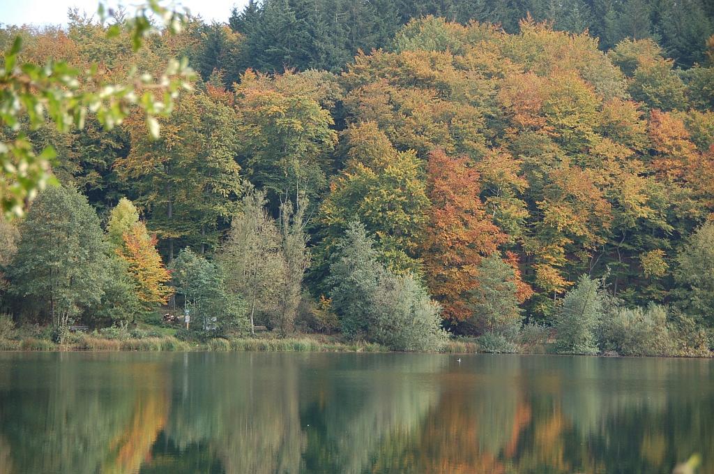 Ferienwohnungen Landgasthaus Janshen Ellscheid エクステリア 写真
