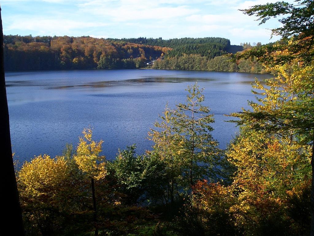 Ferienwohnungen Landgasthaus Janshen Ellscheid エクステリア 写真