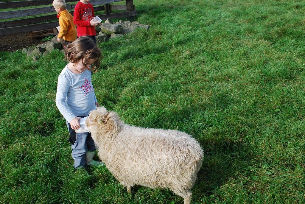 Ferienwohnungen Landgasthaus Janshen Ellscheid 部屋 写真
