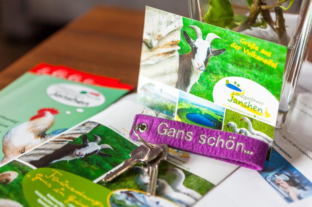 Ferienwohnungen Landgasthaus Janshen Ellscheid エクステリア 写真